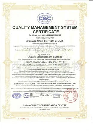ISO9001 ISO9001