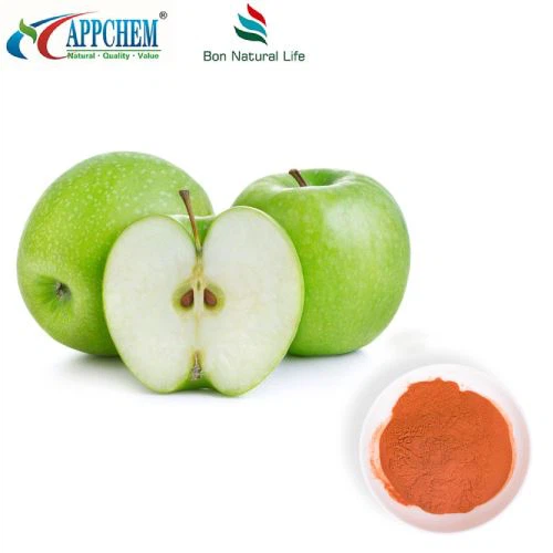 Apple Polyphenols Powder Original Factory