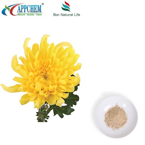 Flos Chrysanthemi útdráttarduft
