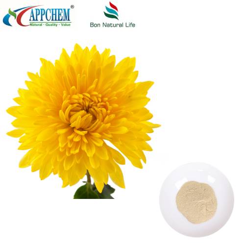 Flos Chrysanthemi þykkni