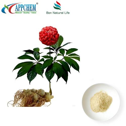 Notoginseng rótarútdráttur