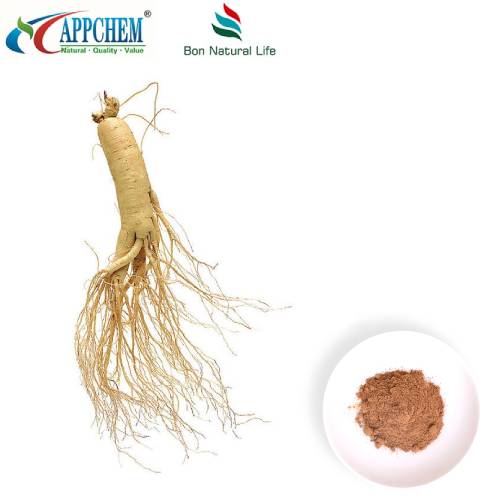 Panax Ginseng útdráttarduft