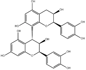 proanthocyanidin B2