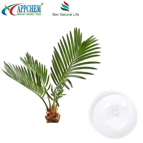Saw Palmetto Extract Powder