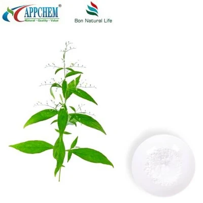 Andrographis Paniculata útdráttur Andrographolide