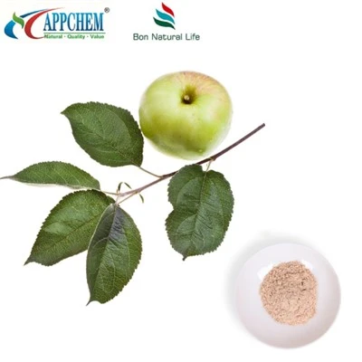 Apple Extract Phloretin Magnframboð