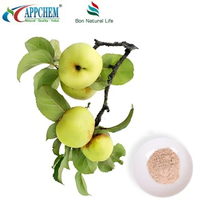 Apple Extract Phlorizin verksmiðjusýni