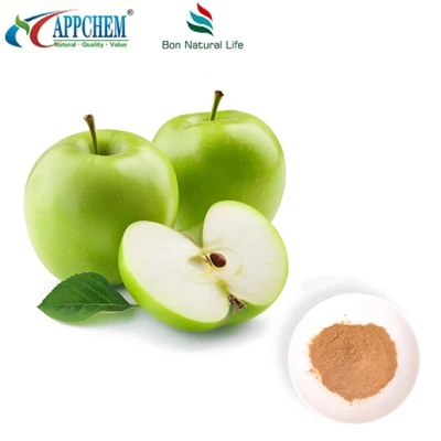 Apple Extract Procyanidin B2 HPLC próf 29106-49-8