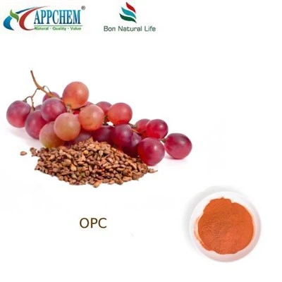 Grape Seed Extract 95 OPC