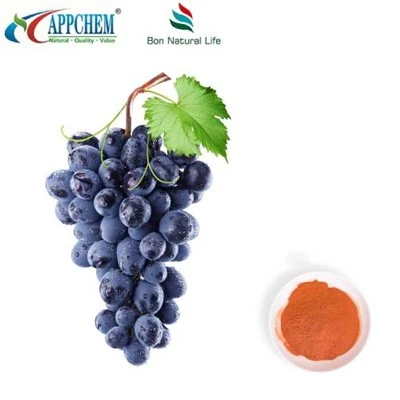 Grape Seed Extract Duft 95 Polyphenols