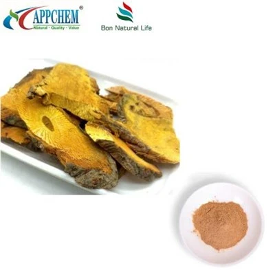 Resveratrol Polygonum Cuspidatum útdráttarduft