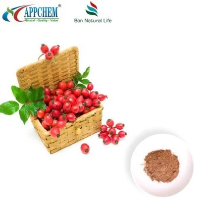 Rosehip útdráttarduft