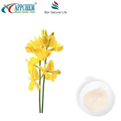 Thermopsis lanceolata R.BR útdráttur; Cytisine HPLC98% duft 485-35-8